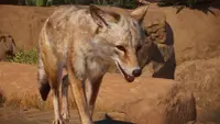 Planet Zoo: Americas Animal Pack Ultimate 1