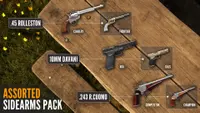 theHunter: Call of the Wild™ - Assorted Sidearms Pack 1