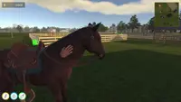 Animal Trainer Simulator 1