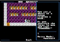 Nox Archaist: Lord of Storms 4