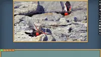 Jigsaw Puzzle Pack - Pixel Puzzles Ultimate: PP2 Birds Ultimate 3