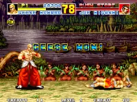 FATAL FURY SPECIAL Special 4