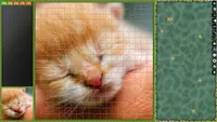 Jigsaw Puzzle Pack - Pixel Puzzles Ultimate: Cats 2 Ultimate 1