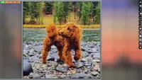 Jigsaw Puzzle Pack - Pixel Puzzles Ultimate: Dogs Ultimate 2