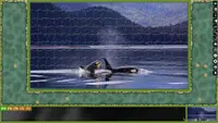 Jigsaw Puzzle Pack - Pixel Puzzles Ultimate: Dolphins Ultimate 3