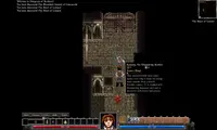 Dungeons of Dredmor 3