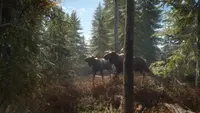 theHunter: Call of the Wild™ (PS4) 1