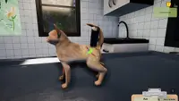 Animal Shelter - Puppies & Kittens DLC 1