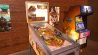 Safari Pinball 1