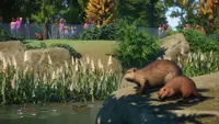 Planet Zoo: North America Animal Pack 1