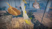 Aquarist - American Fish DLC 2