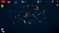 How Much Items - Fishes 4