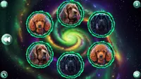 Space Memory: Dogs 2