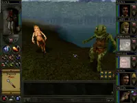 Wizards & Warriors 2