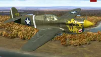 IL-2 Sturmovik: P-40E-1 Collector Plane Deluxe 1