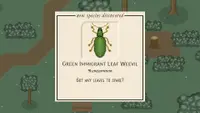 Bug & Seek - Weevils DLC Complete 1