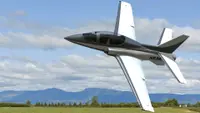 RealFlight Evolution - ViperJet 3