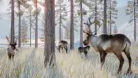 Planet Zoo: Arctic Pack 3
