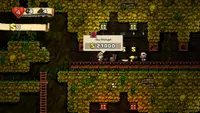 Spelunky 3