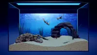 Machorium -Muscle Aquarium Simulator- 1