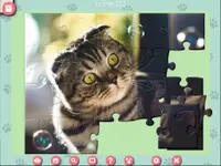 1001 Jigsaw. Cute Cats 4