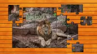 Big Cat Jigsaw Quest 4