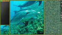 Jigsaw Puzzle Pack - Pixel Puzzles Ultimate: Dolphins Ultimate 1
