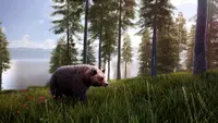 Hunting Simulator 2 Bear Hunter Pack 1