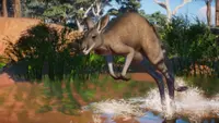 Planet Zoo: Australia Pack 4