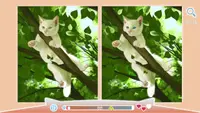 Cute Cats 2 3