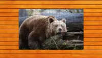 Bear vs. Wolf Jigsaw Puzzle - Expansion Pack 1 1