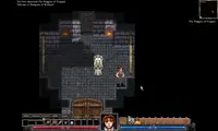 Dungeons of Dredmor 1