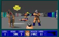 Wolfenstein 3D 1