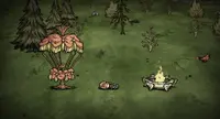 Don't Starve Together: Beating Heart Chest 2