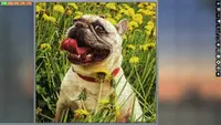 Jigsaw Puzzle Pack - Pixel Puzzles Ultimate: Dogs Ultimate 4