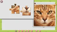 1001 Jigsaw. Cute Cats 3 2
