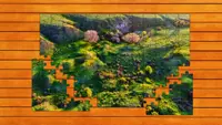 Aerial Nature Jigsaw Puzzles - Expansion Pack 4 4