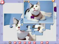 1001 Jigsaw. Cute Cats 4 1