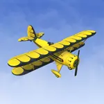 RealFlight Evolution - 2024 Year Content Pass 4