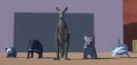 Animal Fight Club: Australia Export 1