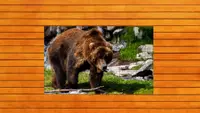 Bear vs. Wolf Jigsaw Puzzle 4