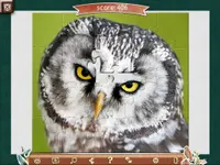 1001 Jigsaw. Earth Chronicles 6 4