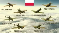 Cosmetic Pack - Hearts of Iron IV: Eastern Front Planes Ultimate 1