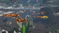 Aquarist - Japanese Garden DLC 2