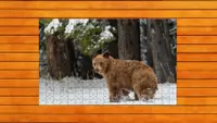 Bear vs. Wolf Jigsaw Puzzle - Expansion Pack 5 1