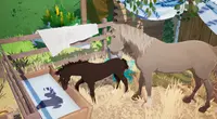 The Foal Care Pack - Horse Tales: Emerald Valley Ranch Deluxe 3