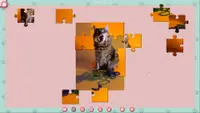 1001 Jigsaw. Cute Cats 2 4