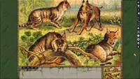 Pixel Puzzles Illustrations & Anime - Jigsaw Pack: Book Of Nature 1