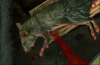 Bad Mojo Redux Redux 2