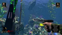 Freediving Hunter Spearfishing the World 2